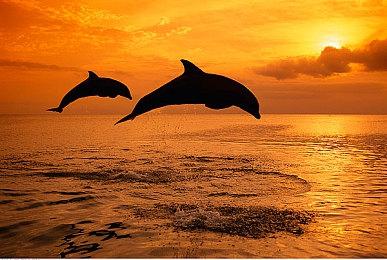 《英雄传说：黎之轨迹2》新情报曝出 9月29日发售