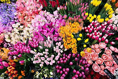 《战锤40K：混沌之门恶魔猎人》新预告 猛男登场